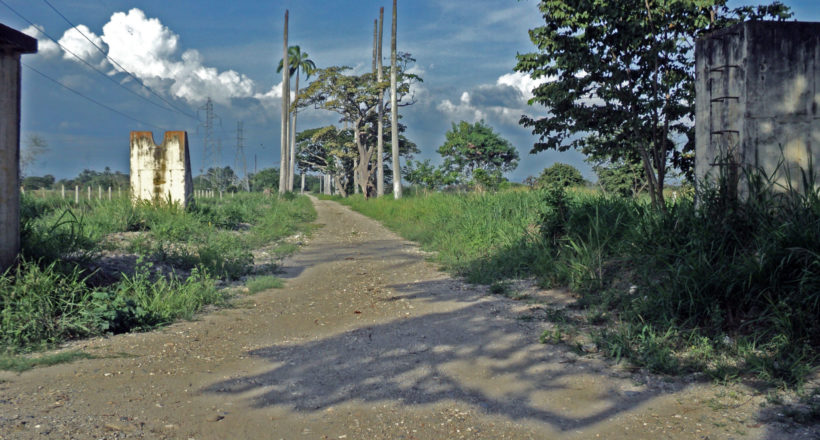 Antiguo camino de Las Maporas o callejón de la Alianza. Sabanas de Tarabana